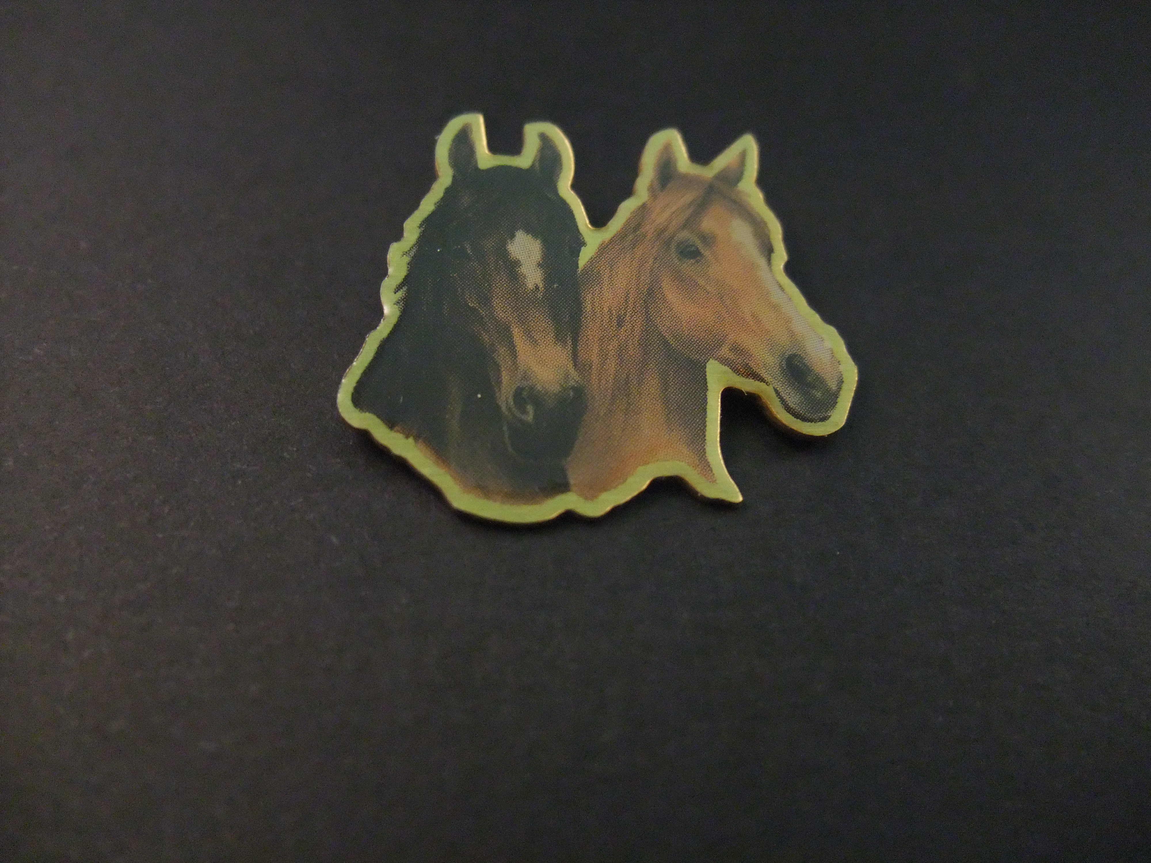 Twee paardenhoofden